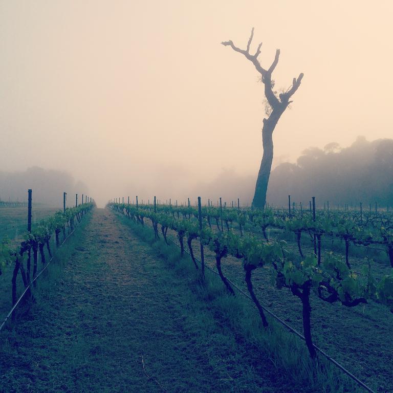 Island Brook Estate Winery And Chalets Margaret River Bagian luar foto