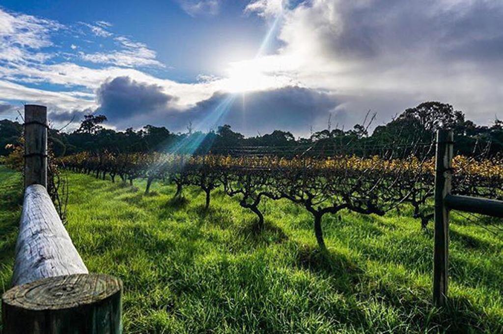 Island Brook Estate Winery And Chalets Margaret River Bagian luar foto